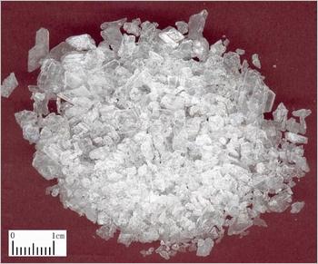 冰片(天然)图片