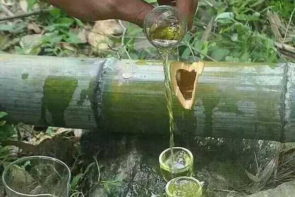 竹筒酒是怎样生产的？竹筒酒是怎么装进去的？