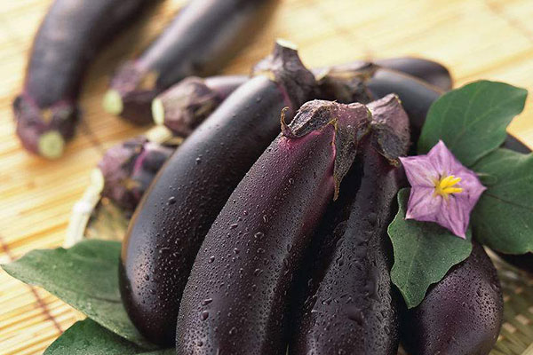 紫茄子把能治咳嗽吗？