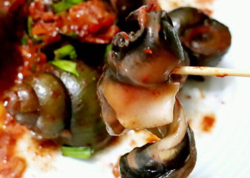 田螺的功效与作用,田螺的营养价值