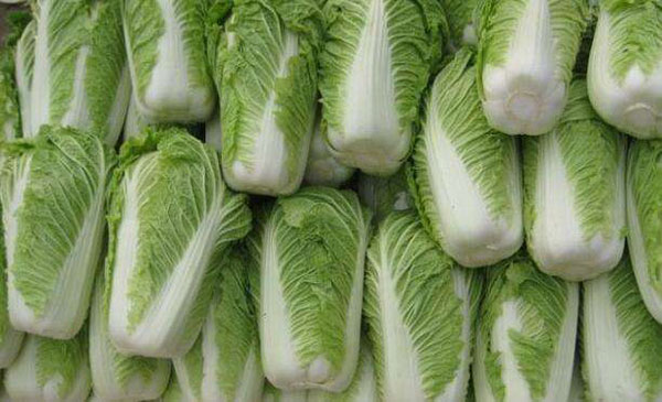 白菜的功效与作用 白菜的食用方法