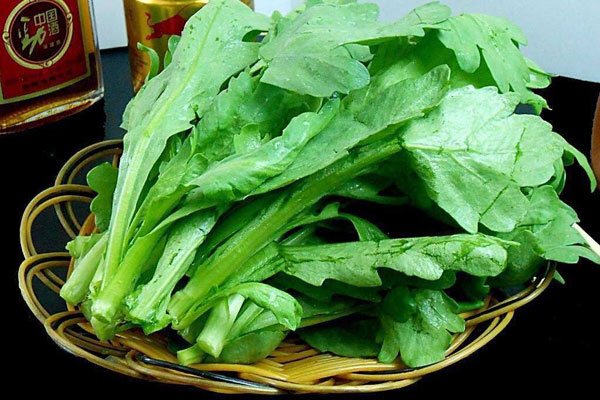 茼蒿的叶子能吃吗？