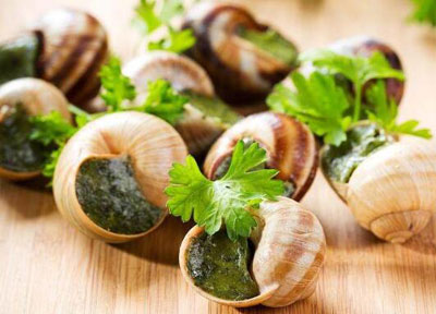 田螺的药用价值