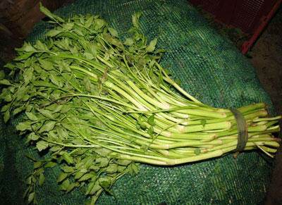 水芹菜的营养成分含量表(每100g)