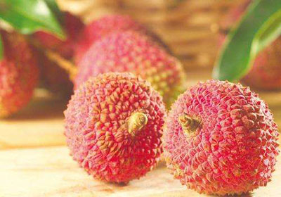 荔枝的药用价值